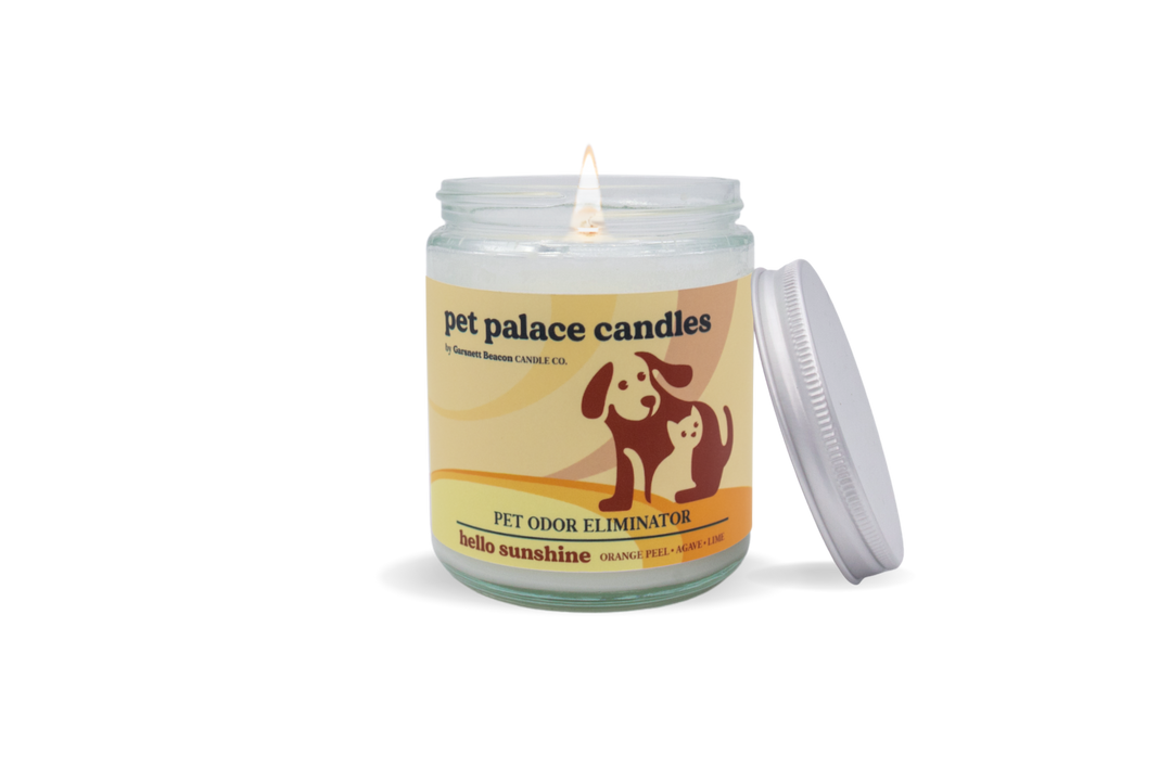 Hello Sunshine Pet Odor Eliminator Candle