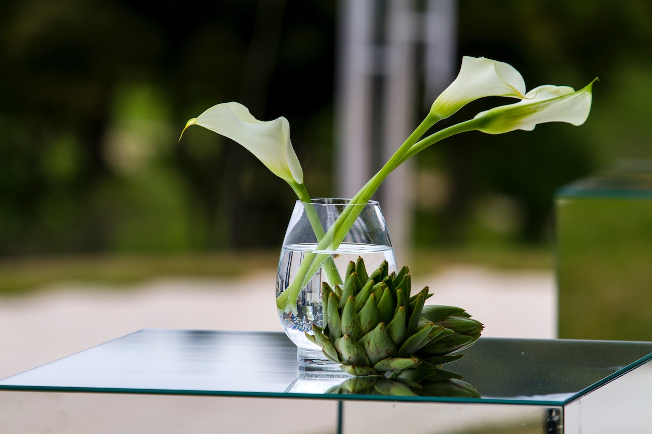 Calla Lily