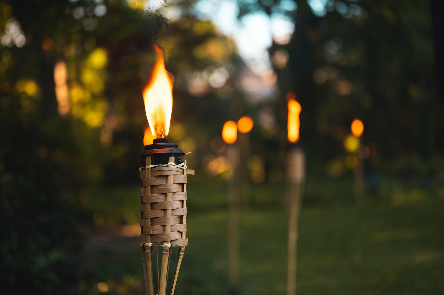 Citronella
