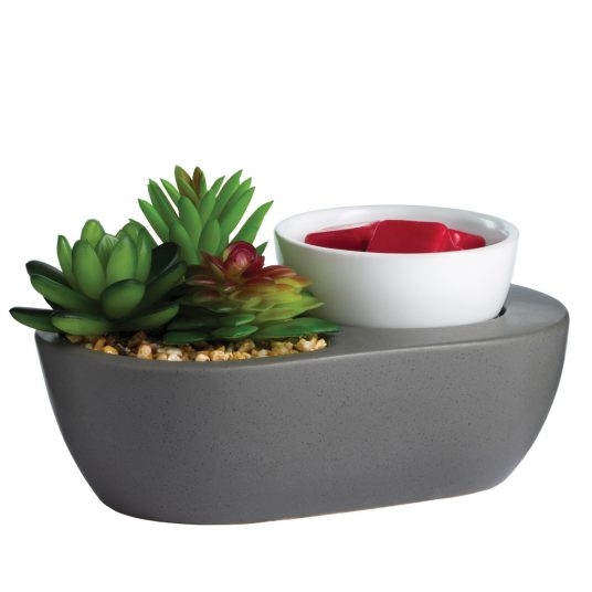 Succulent Artscents Fragrance Warmer