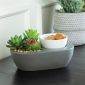 Succulent Artscents Fragrance Warmer