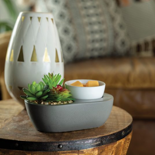 Succulent Artscents Fragrance Warmer
