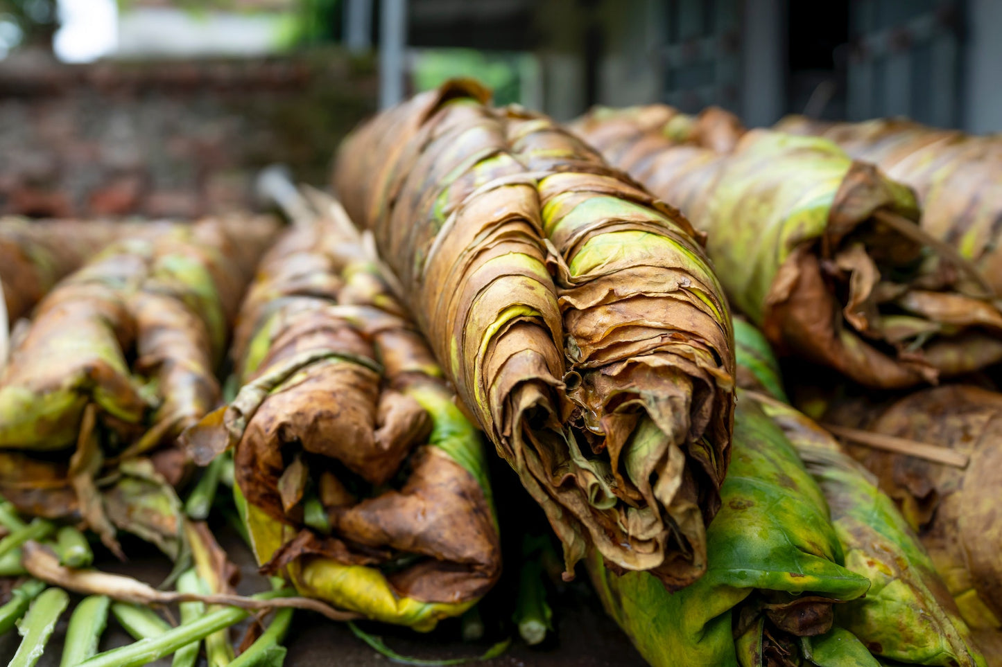 Tobacco Leaf