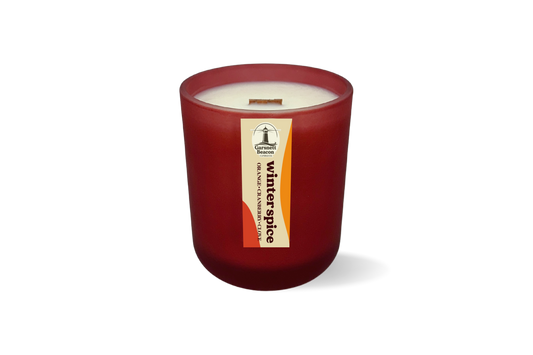 Winter Spice Frosted Glass Candle